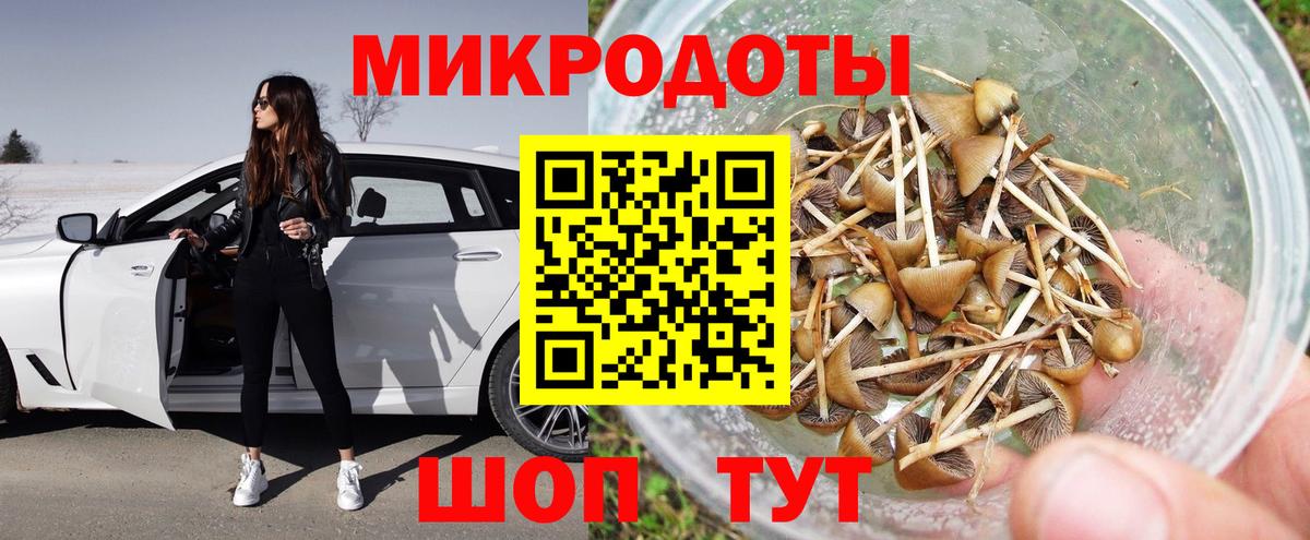 Ржев  Псилоцибиновые грибы мухоморы  Вход с VPN 